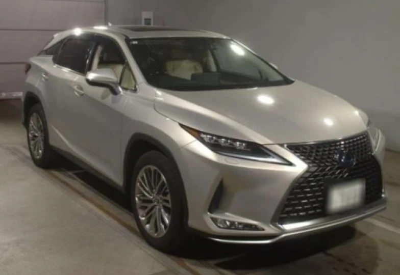 Lexus RX Grey