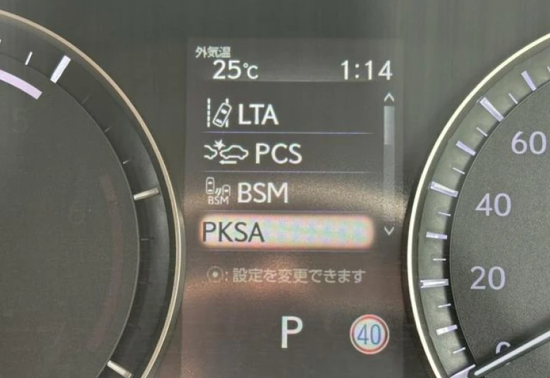 Lexus RX Black
