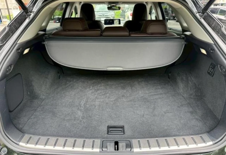 Lexus RX Black