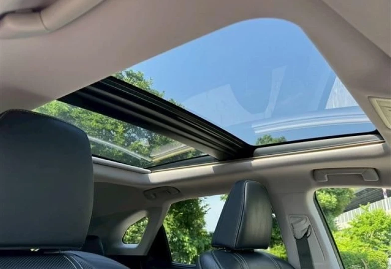 Lexus RX Black