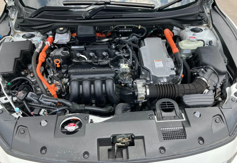 Honda Insight White