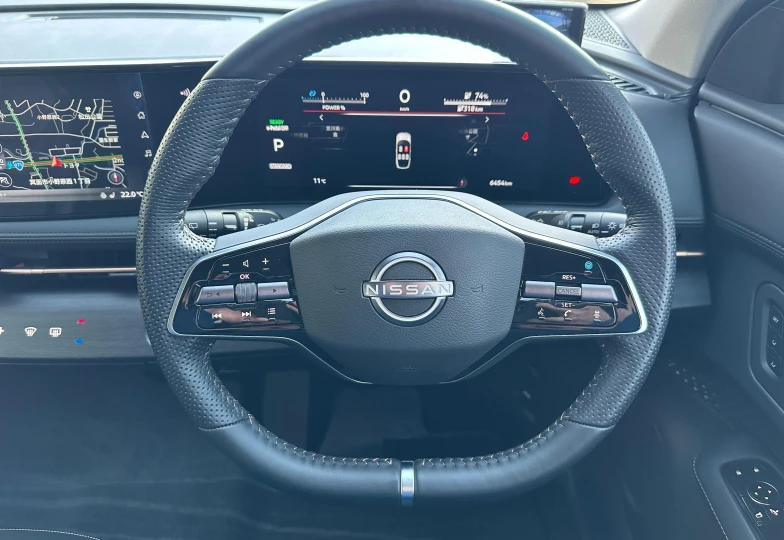 Nissan Ariya Серый