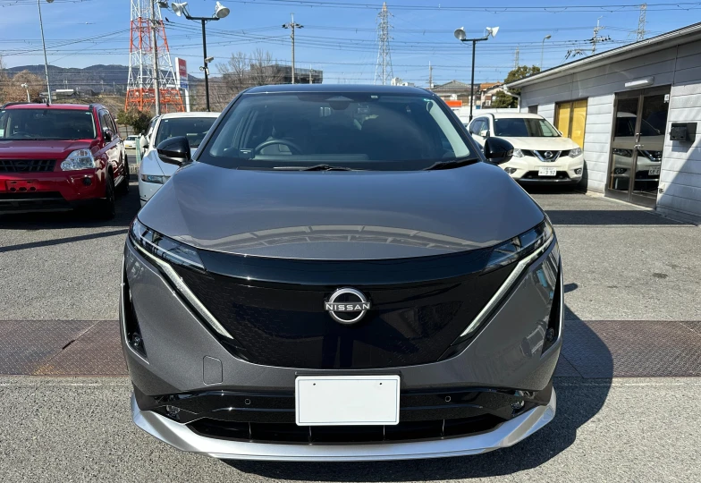 Nissan Ariya Серый