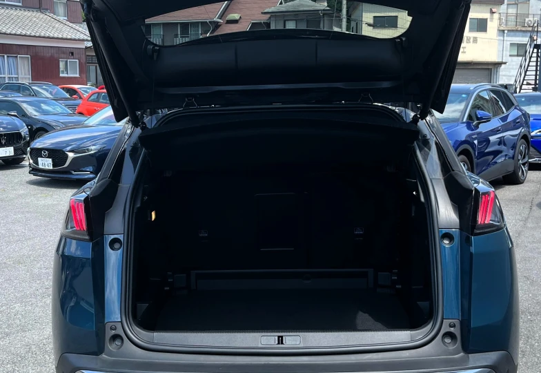 Peugeot 3008 Синий
