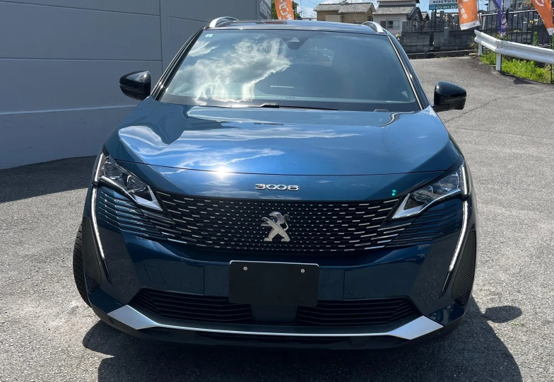 Peugeot 3008 Синий