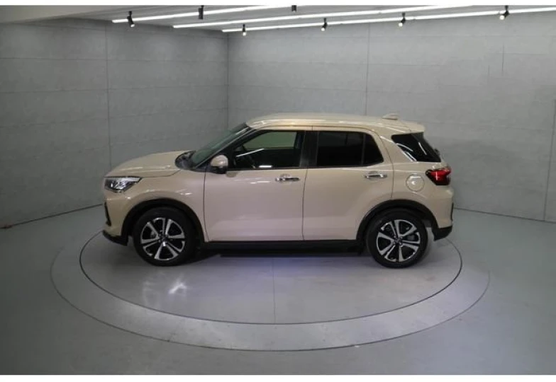 Daihatsu Rocky Бежевый