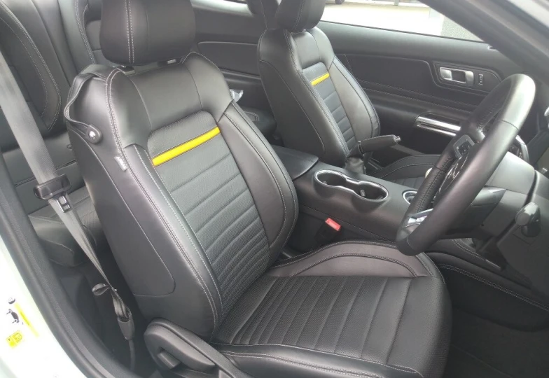 Ford Mustang Grey
