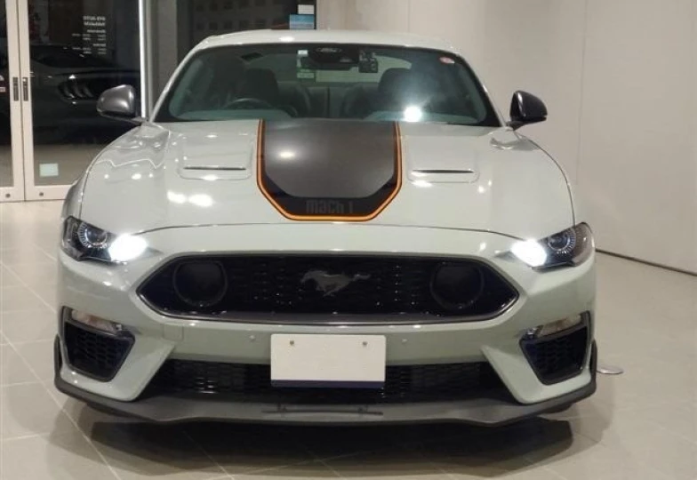 Ford Mustang Grey