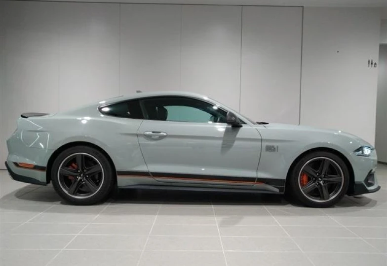 Ford Mustang Grey