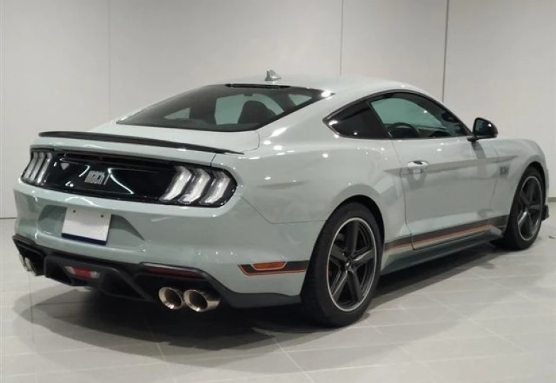 Ford Mustang Grey