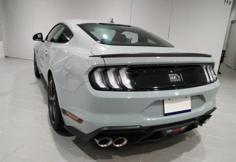 Ford Mustang Grey