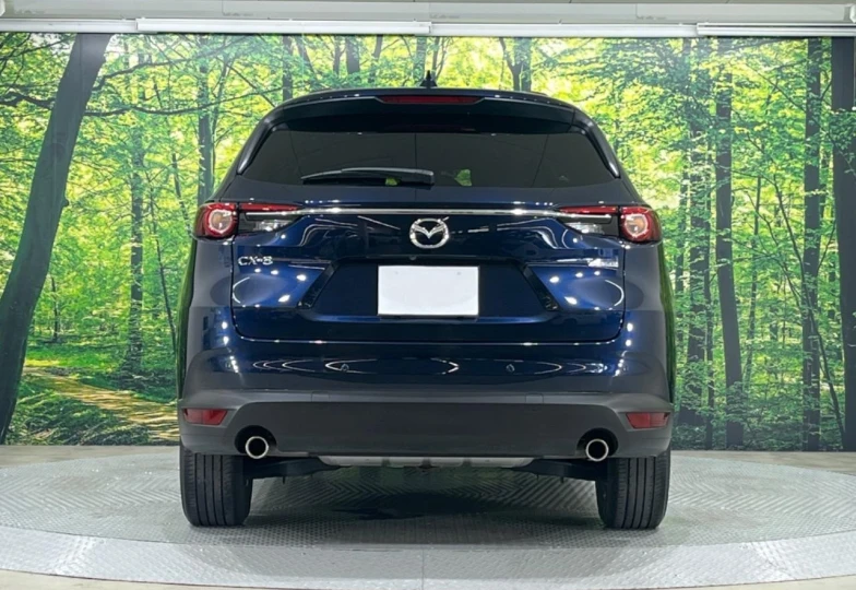 Mazda CX-8 Blue