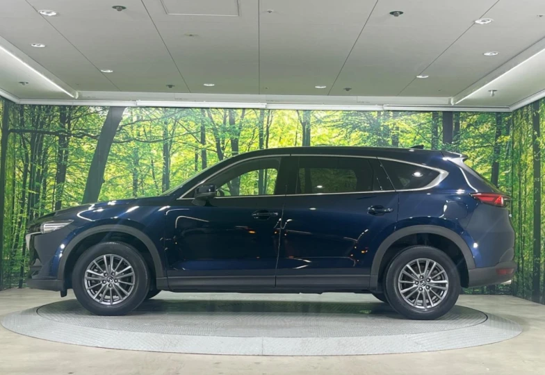 Mazda CX-8 Blue