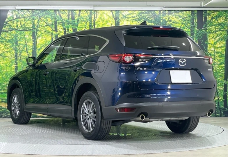 Mazda CX-8 Blue