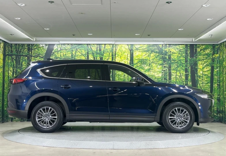 Mazda CX-8 Blue