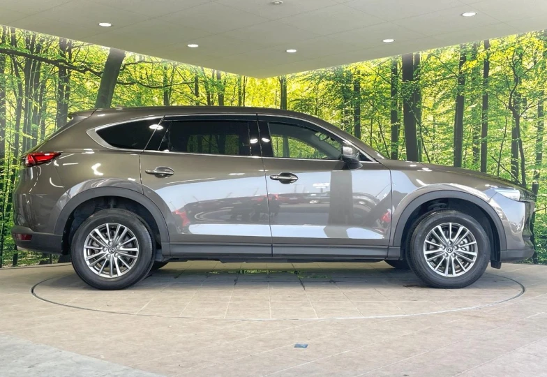 Mazda CX-8 Grey