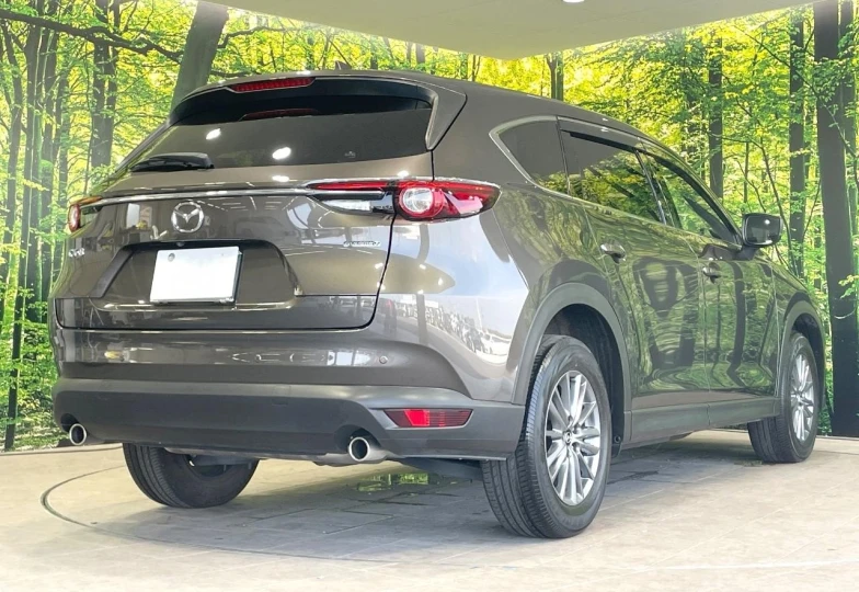 Mazda CX-8 Grey