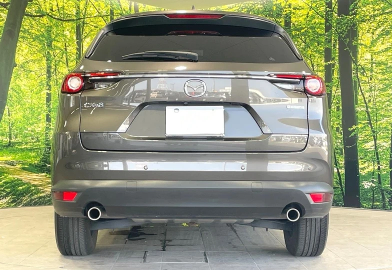 Mazda CX-8 Grey