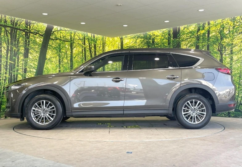 Mazda CX-8 Grey
