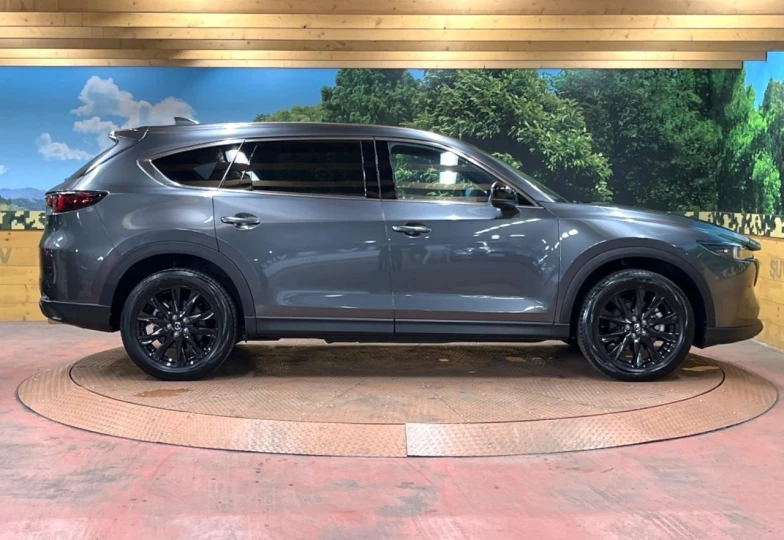 Mazda CX-8 Grey