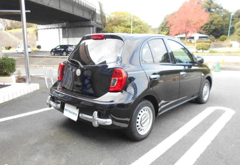 Mitsuoka Viewt Black