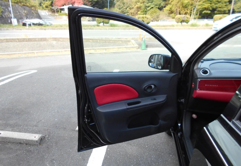 Mitsuoka Viewt Black