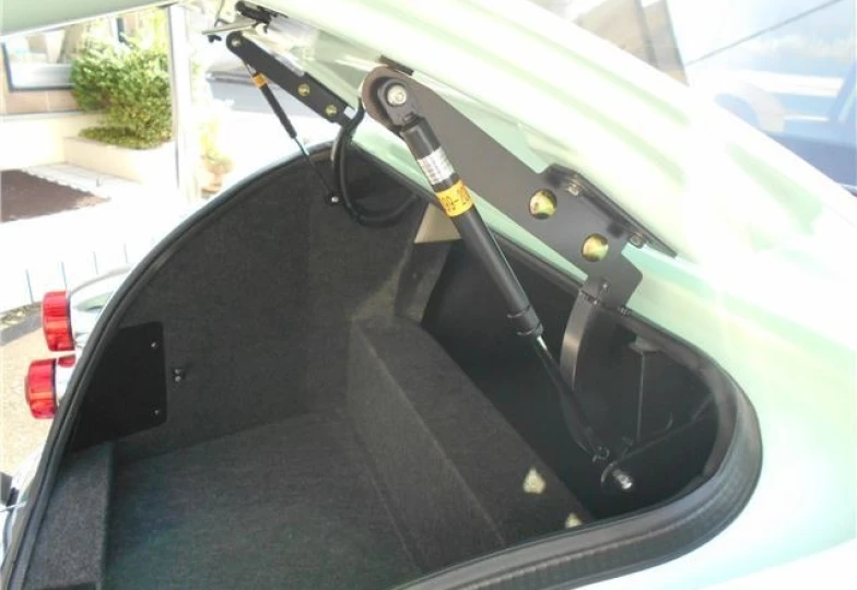 Mitsuoka Viewt Green