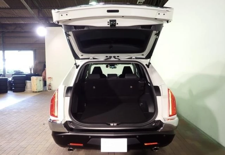 Mitsuoka Buddy Белый