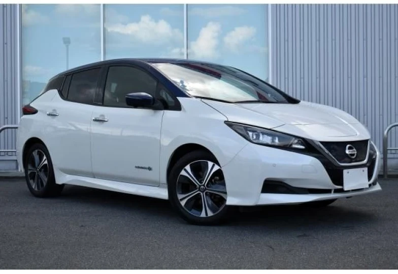 Nissan Leaf Белый