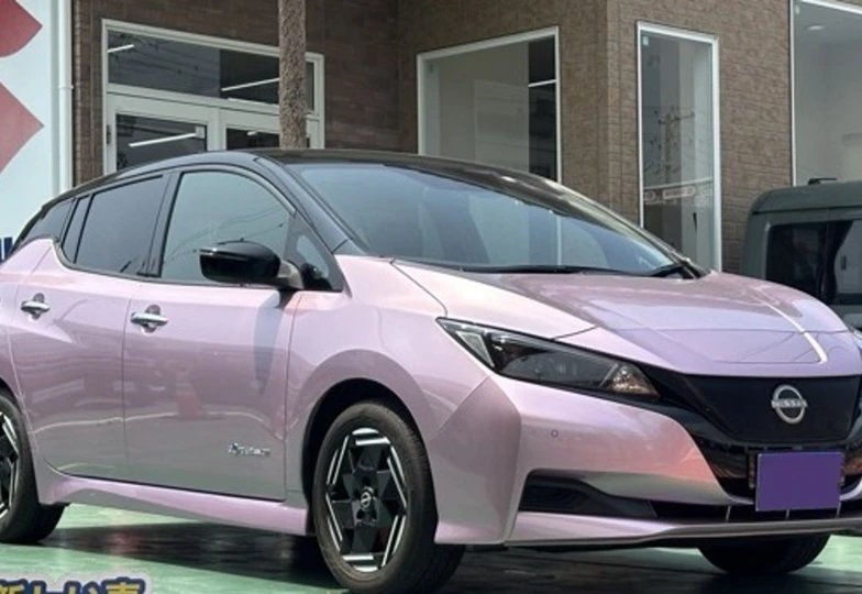 Nissan Leaf Розовый