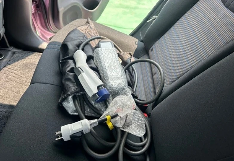 Nissan Leaf Розовый