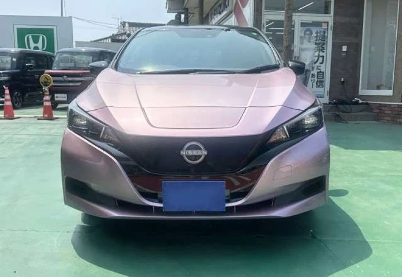 Nissan Leaf Розовый