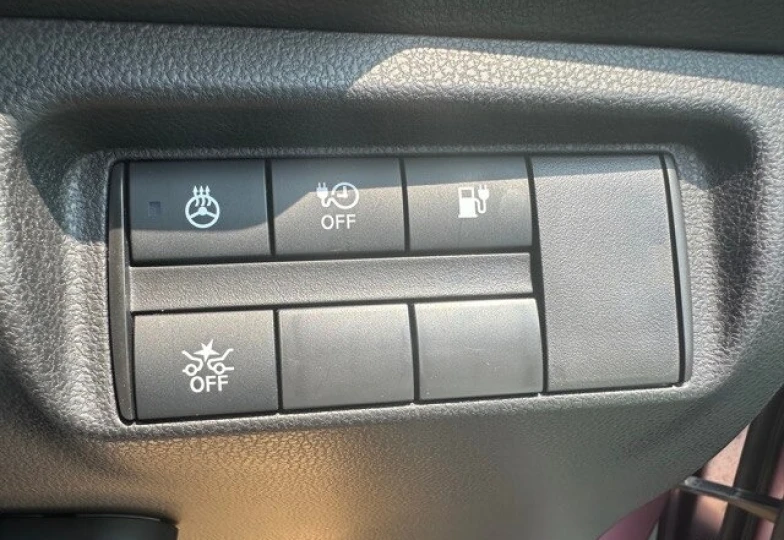 Nissan Leaf Розовый