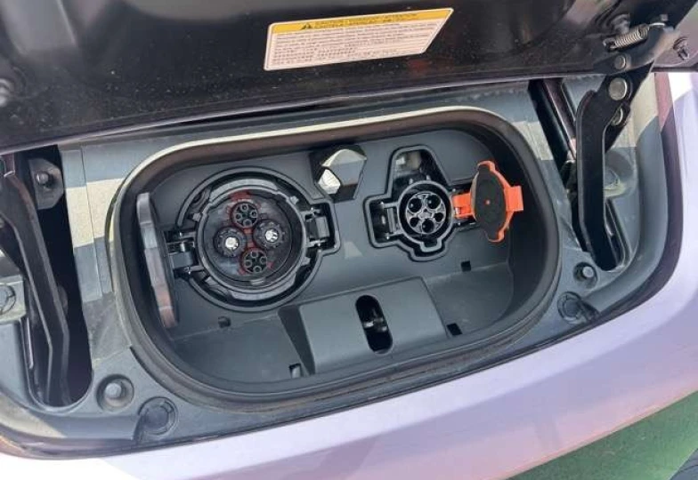 Nissan Leaf Розовый