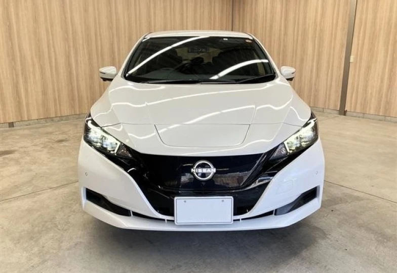 Nissan Leaf Белый