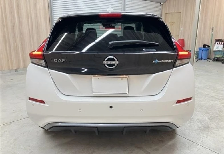 Nissan Leaf Белый