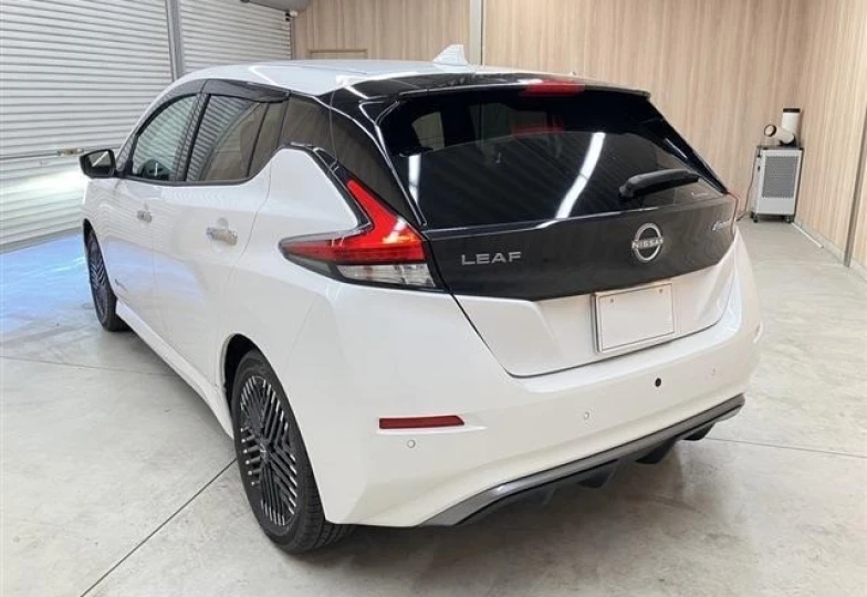 Nissan Leaf Белый