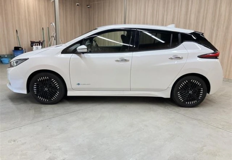 Nissan Leaf Белый