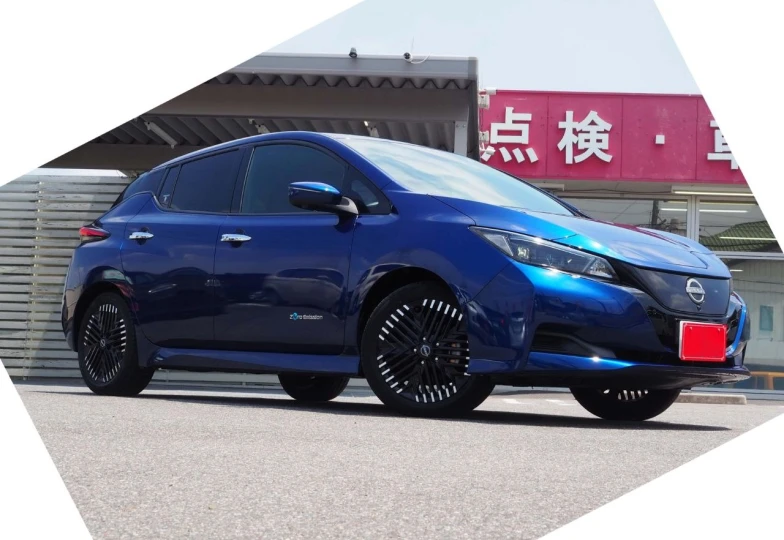 Nissan Leaf Синий