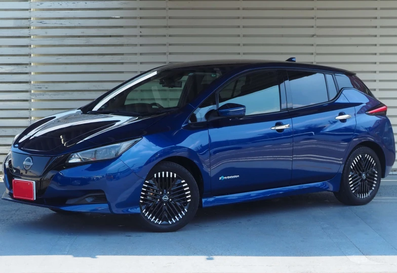 Nissan Leaf Синий