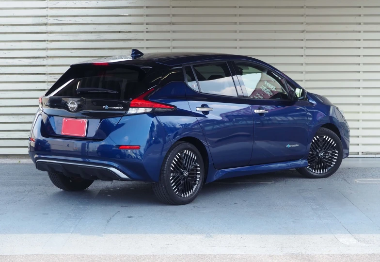 Nissan Leaf Синий