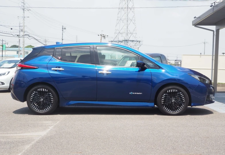 Nissan Leaf Синий