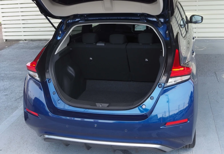 Nissan Leaf Синий