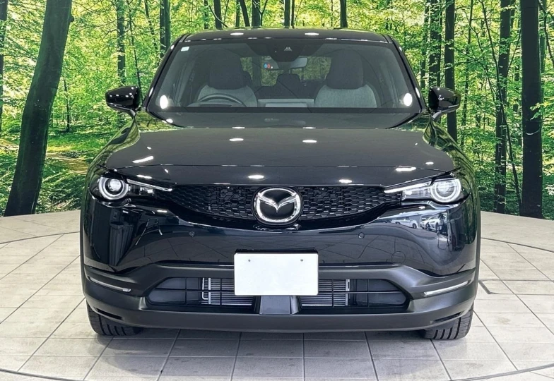 Mazda MX-30 Black