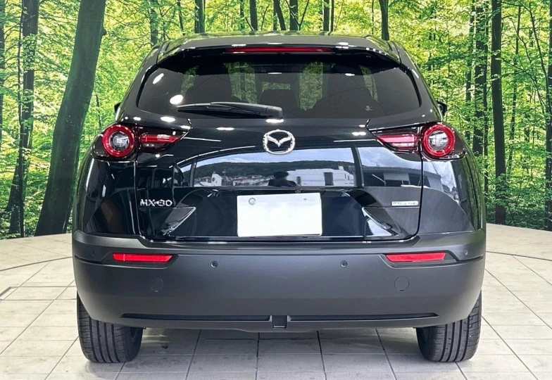 Mazda MX-30 Black