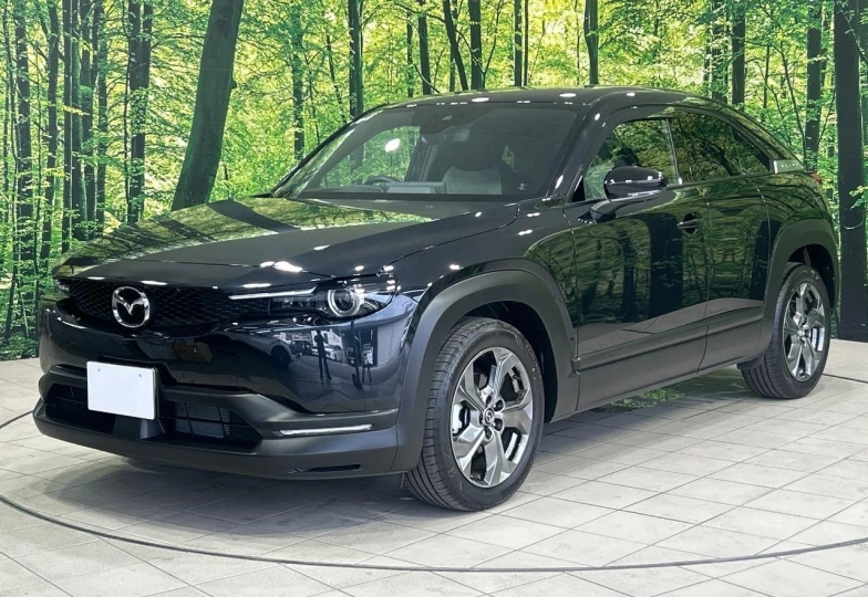 Mazda MX-30 Black