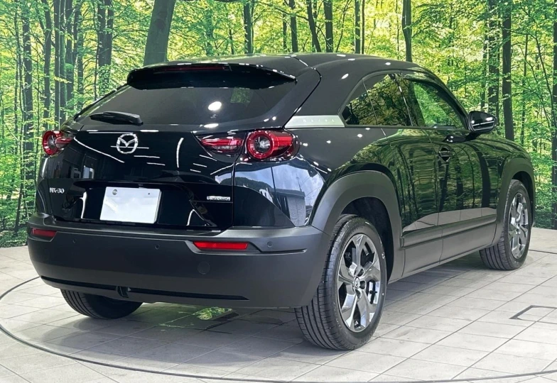 Mazda MX-30 Black