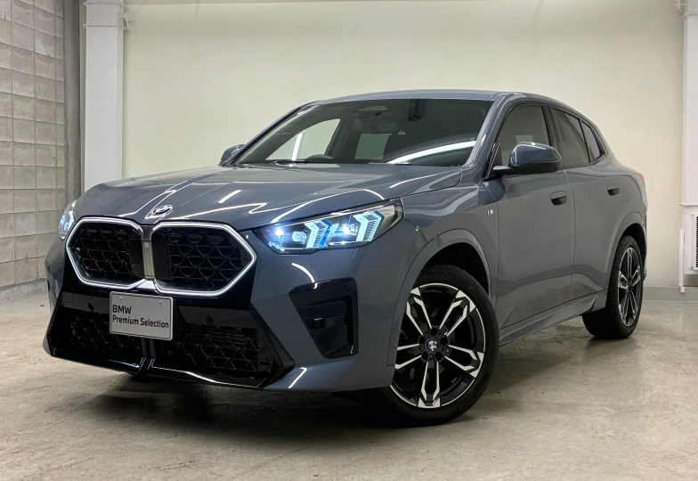 BMW X2 Grey