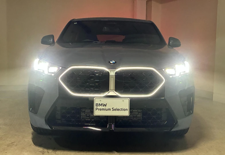 BMW X2 Grey