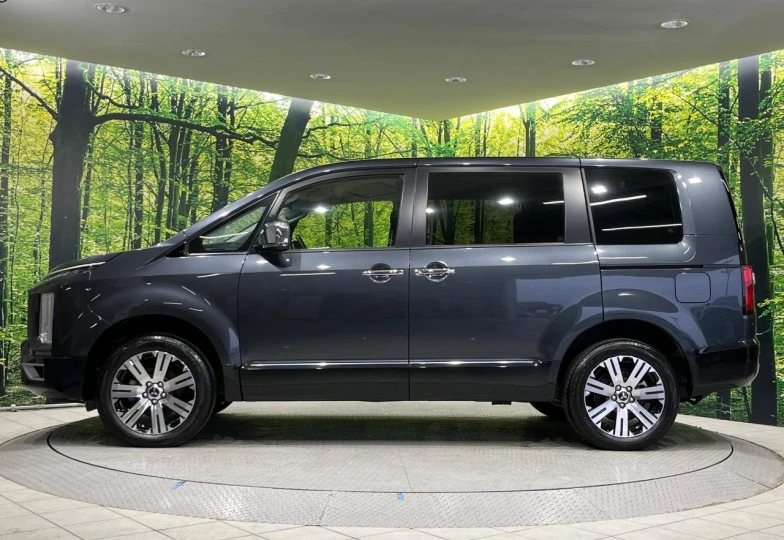 Mitsubishi Delica d:5 Grey